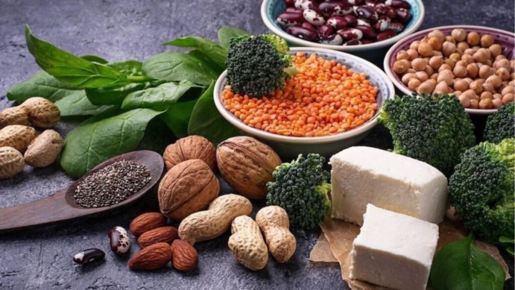 Protein thực vật là gì? chất lượng và cách bổ sung hợp lý 18 Những hiểu lầm phổ biến về protein thực vật