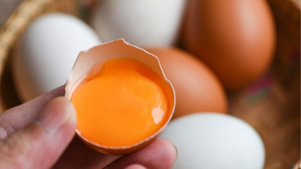 1 quả trứng gà bao nhiêu protein? Bảng quy đổi dễ hiểu 8 Bảng 1 đến 5 quả trứng gà có bao nhiêu protein
