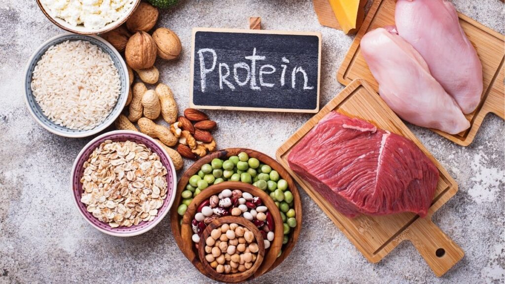 Protein thực vật là gì? chất lượng và cách bổ sung hợp lý 7 Các yếu tố đánh giá chất lượng protein thực vật