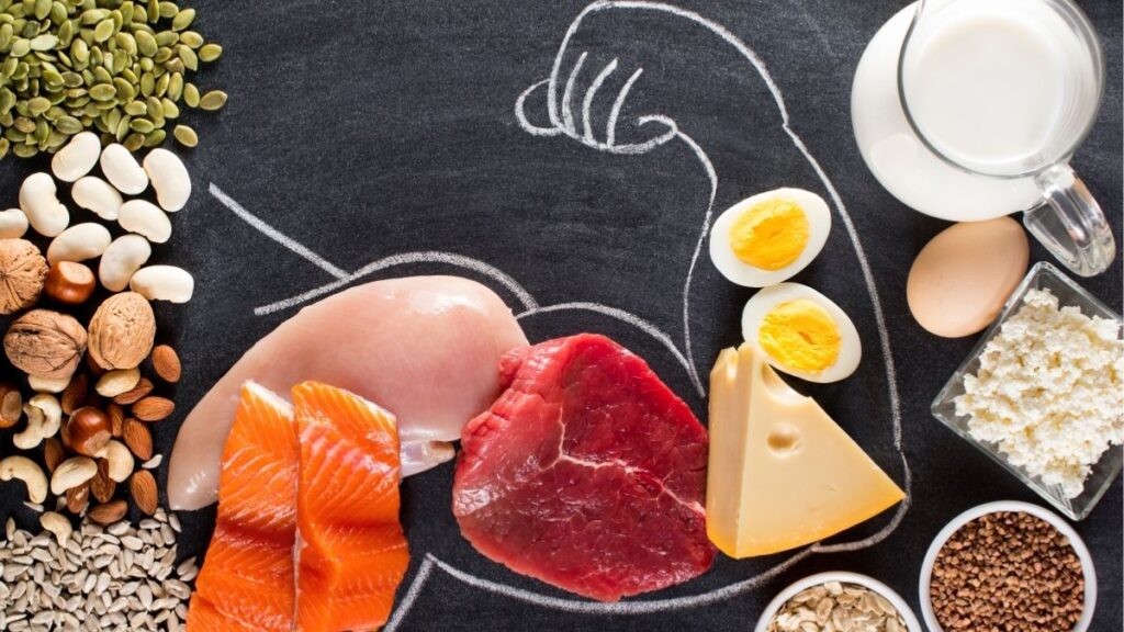 Tiêu chí đánh giá chất lượng nguồn protein