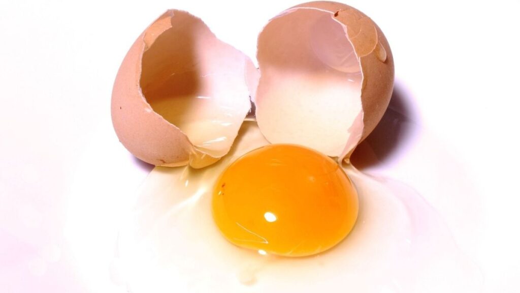 1 quả trứng gà bao nhiêu protein? Bảng quy đổi dễ hiểu 5 Protein trong trứng gà ta và trứng công nghiệp theo kích thước