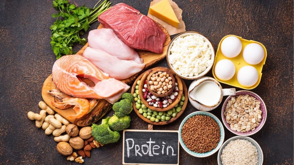 Protein, carbohydrate và chất béo là ba chất dinh dưỡng đa lượng