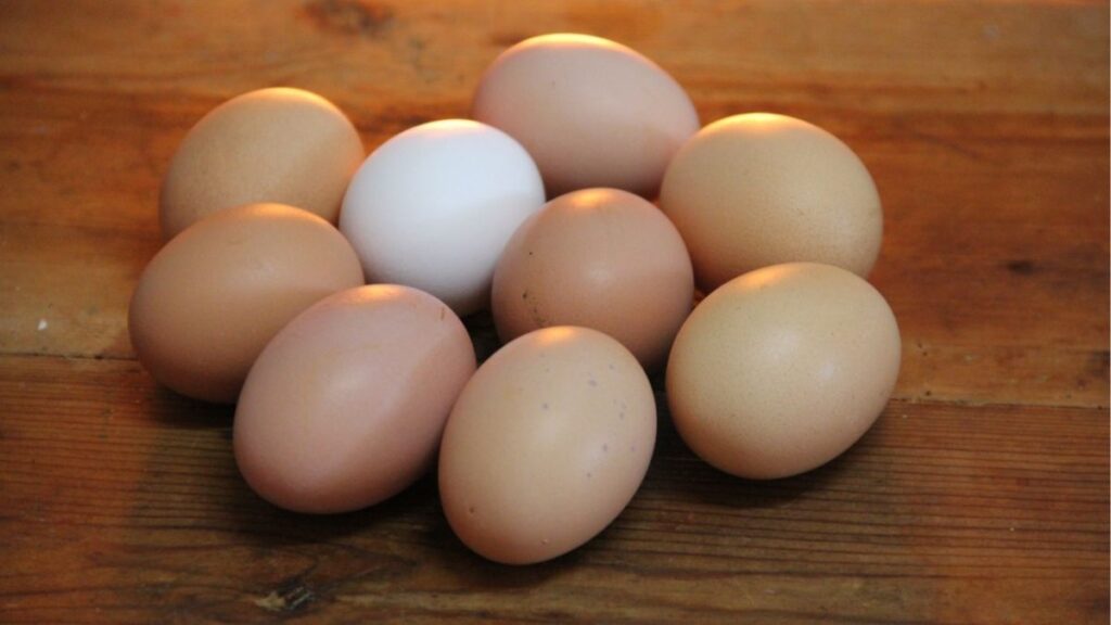 1 quả trứng gà bao nhiêu protein? Bảng quy đổi dễ hiểu 3 Bảng protein trong trứng gà nhỏ vừa lớn và rất lớn