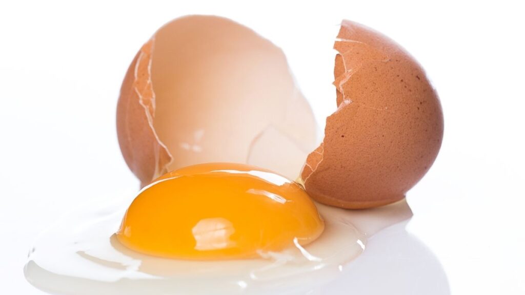 1 quả trứng gà bao nhiêu protein? Bảng quy đổi dễ hiểu 7 So sánh protein trong lòng trắng lòng đỏ và trứng nguyên quả