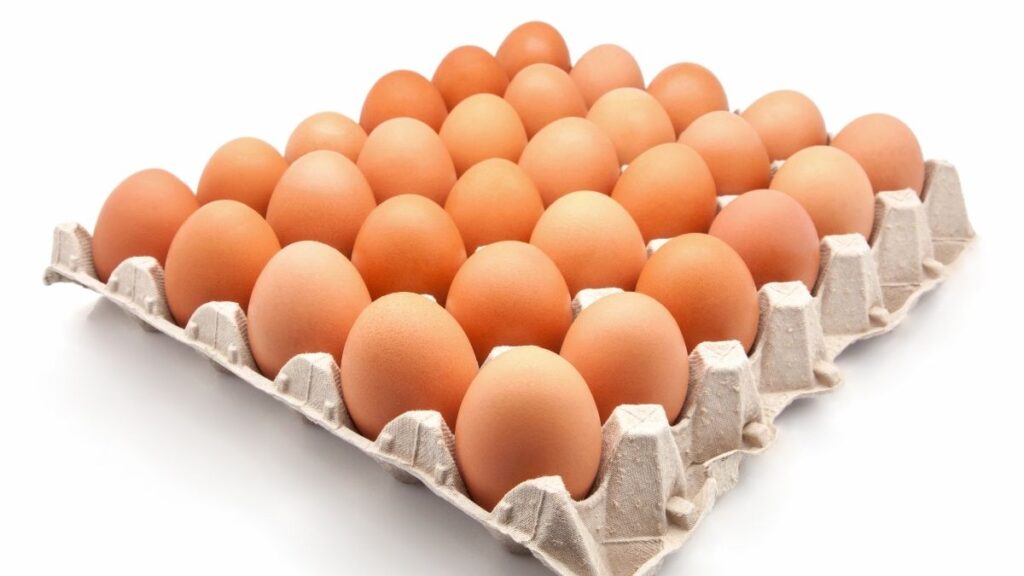 1 quả trứng gà bao nhiêu protein? Bảng quy đổi dễ hiểu 2 Trọng lượng và lượng protein trong một quả trứng gà lớn 50 g