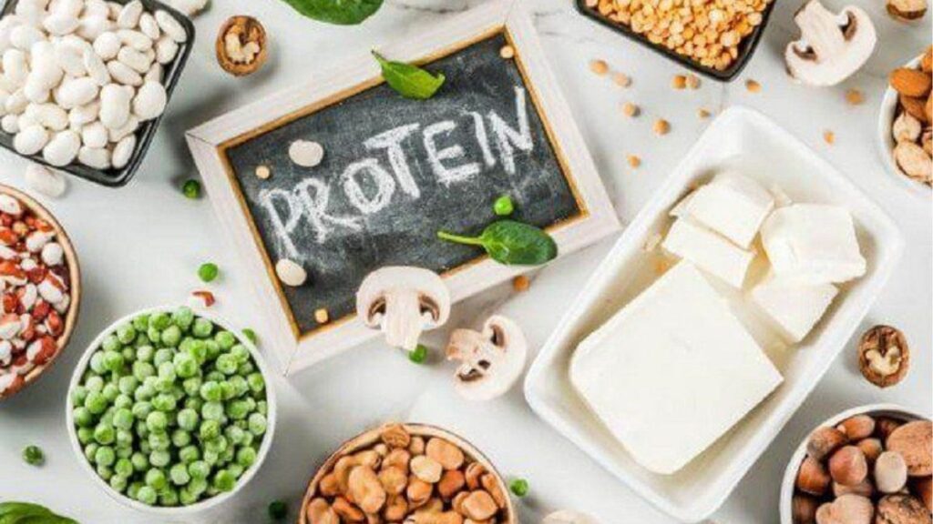 Protein thực vật là gì? chất lượng và cách bổ sung hợp lý 9 Khả năng tiêu hóa protein thực vật và các yếu tố ảnh hưởng